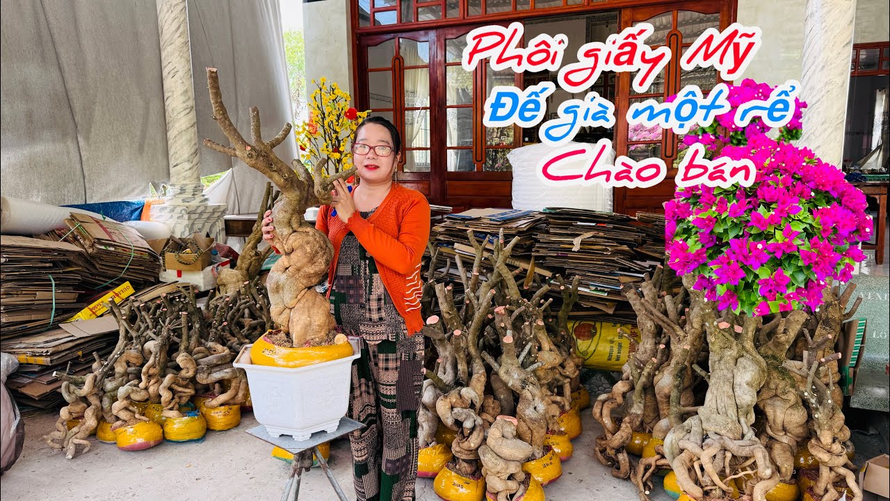 Phôi giấy Mỹ nhiều mệnh giá đế già chào bán bao ship..09/03😘📲 0772.119.600.Quỳnh-Như 