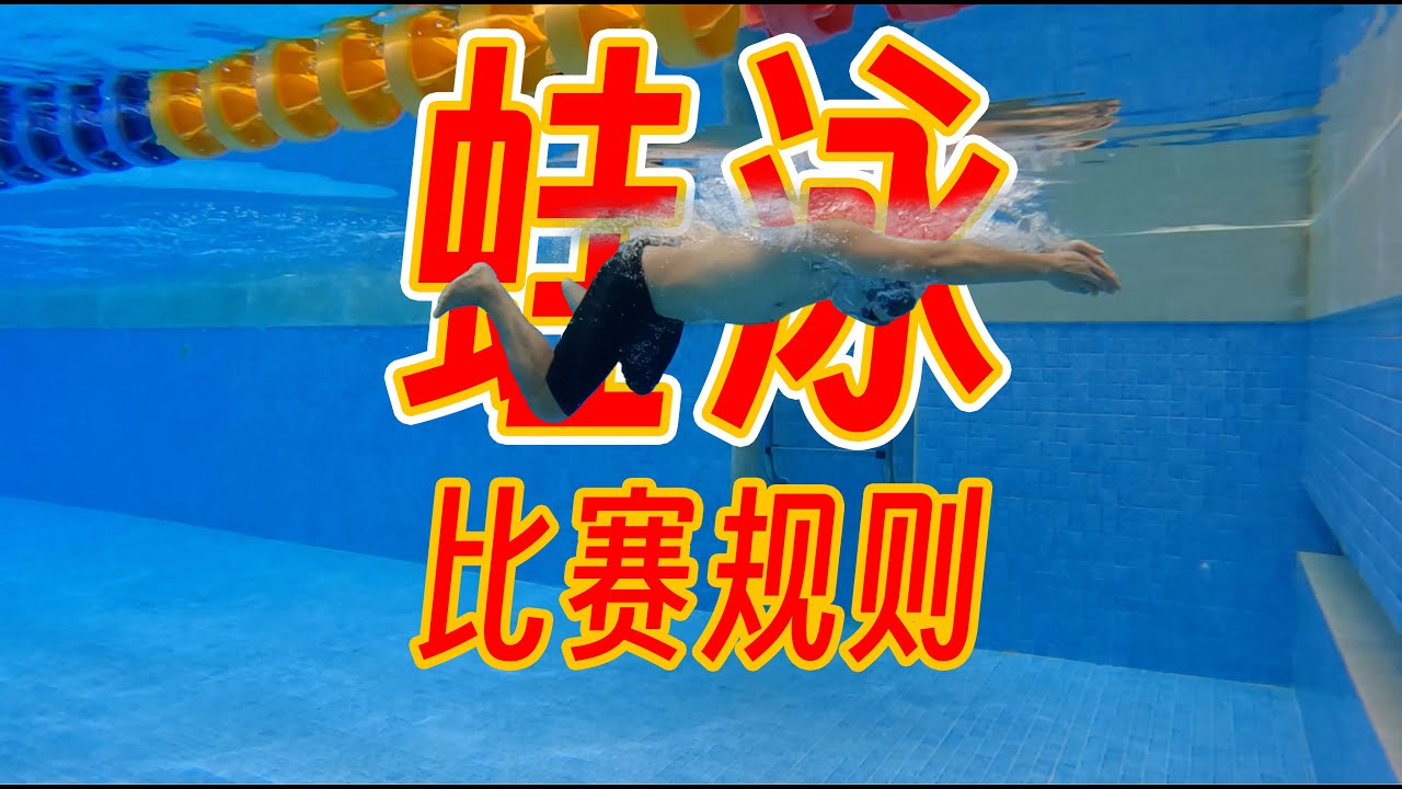 【游泳规则】7.蛙泳比赛规则详细讲解，最复杂的泳姿