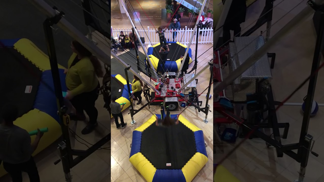 Indoor bungee jumping #wildherbs