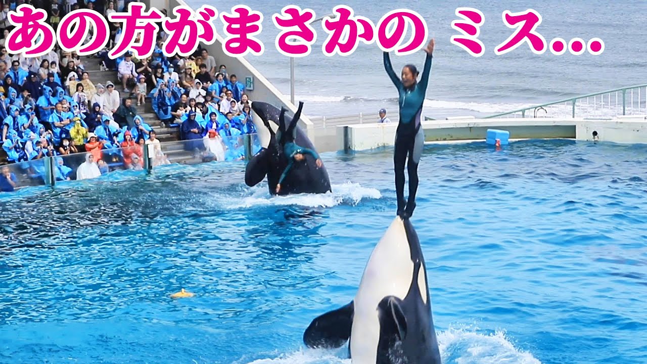 【ハプニング】ダブルリフトでまさかの転落・・・ 鴨川シーワールド シャチショー KamogawaSeaWorld  orca killerwhale