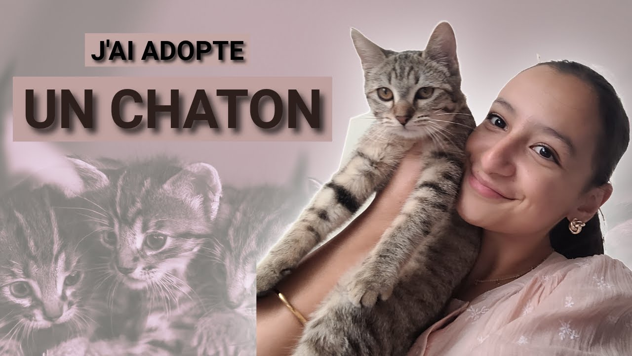 J'AI ADOPTE UN CHATON !!! ~ vlog adoption ✨