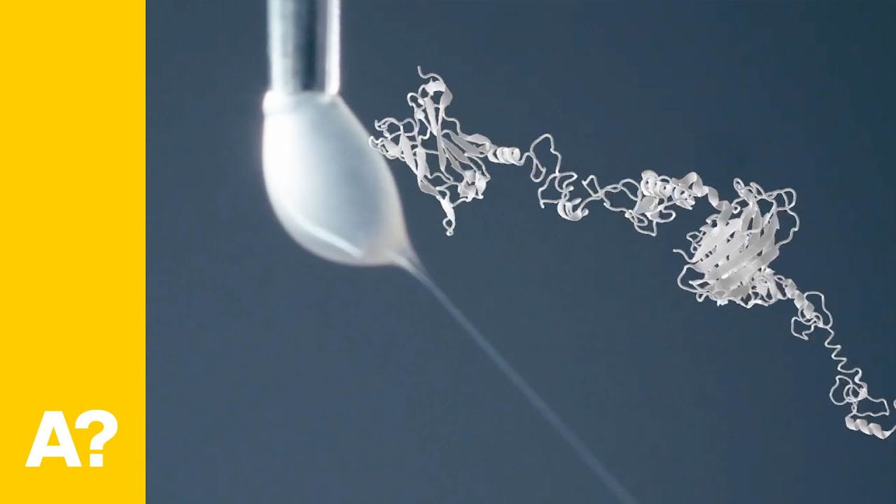 The New Road to Silk: Bio-based production of silk like materials.