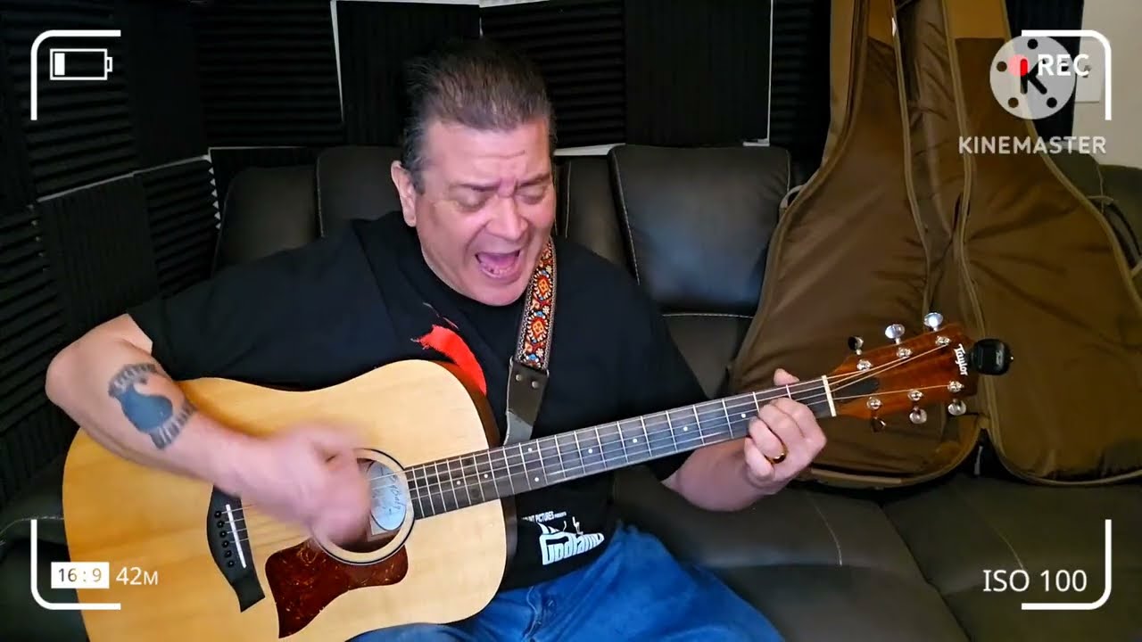 Whipping Post by The Allman Brothers Band  acoustic  cover