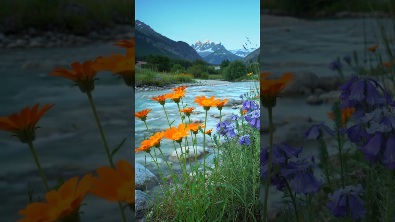 Spring Morning in the Alpine Valley #relax #nature #naturebeauty