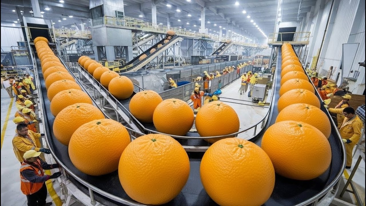 Orange Processing in a Factory | Complete Production Process