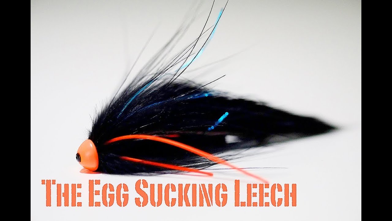 Fly Tying Egg Sucking Leech Tubefly