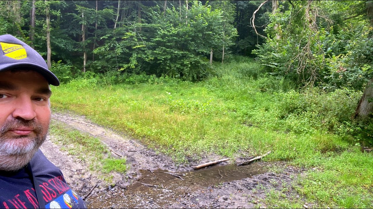 3D-Trip: Dolina Grzybowska. [Zabierzów, Poland]. 2021-08-01