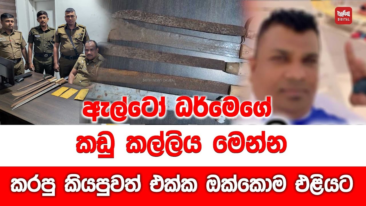 ඇල්ටෝ ධර්මෙගේ කඩු කල්ලිය මෙන්න
