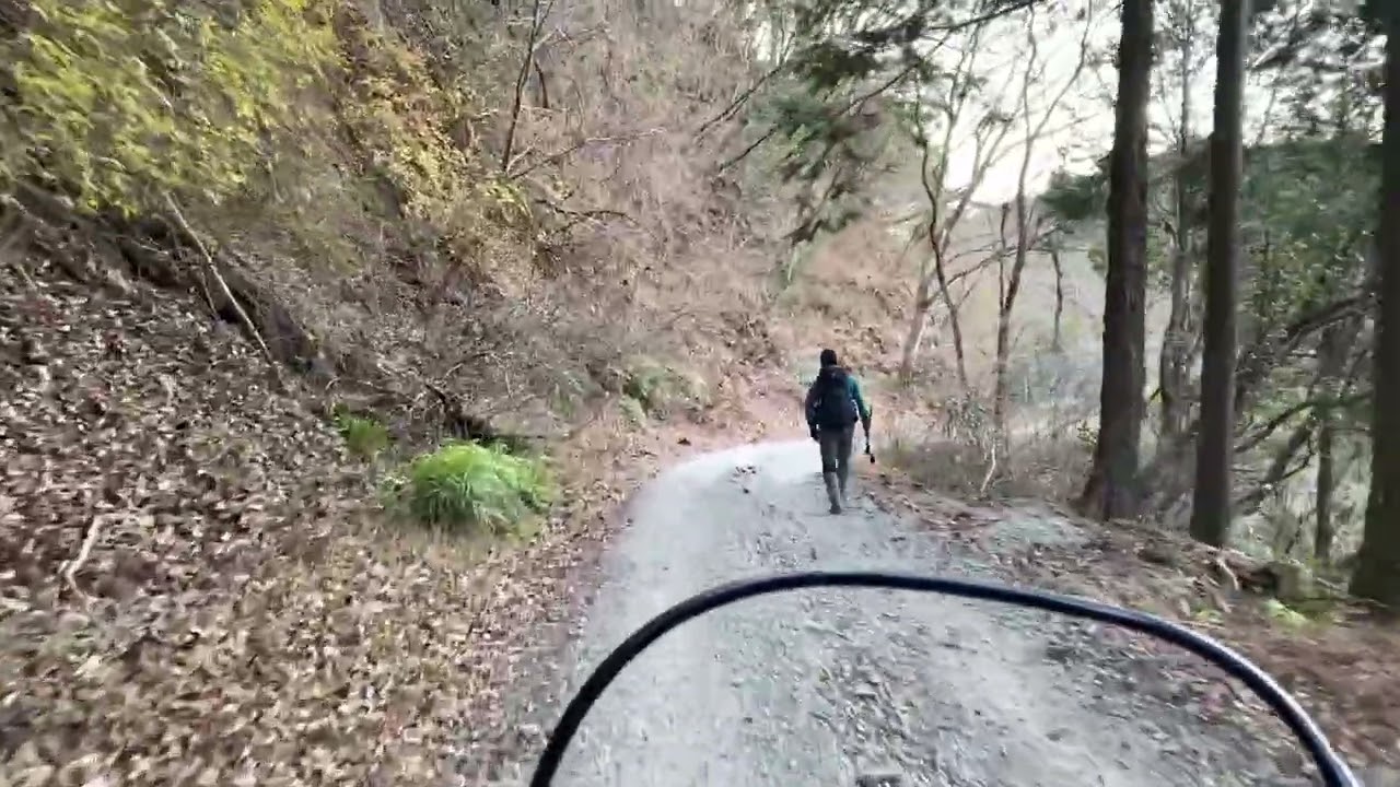 戸川林道復路