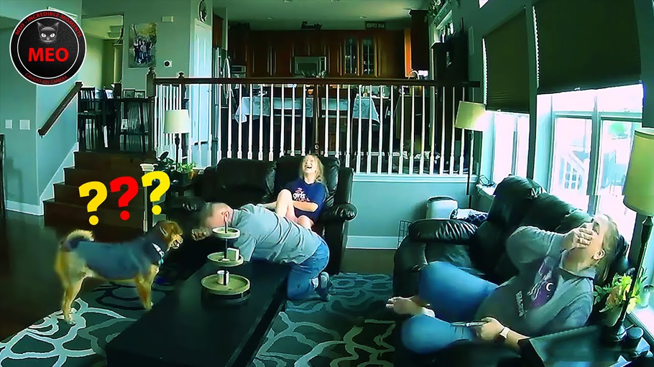 Moments When Things Went Wrong | Incredible Moments (P28)
