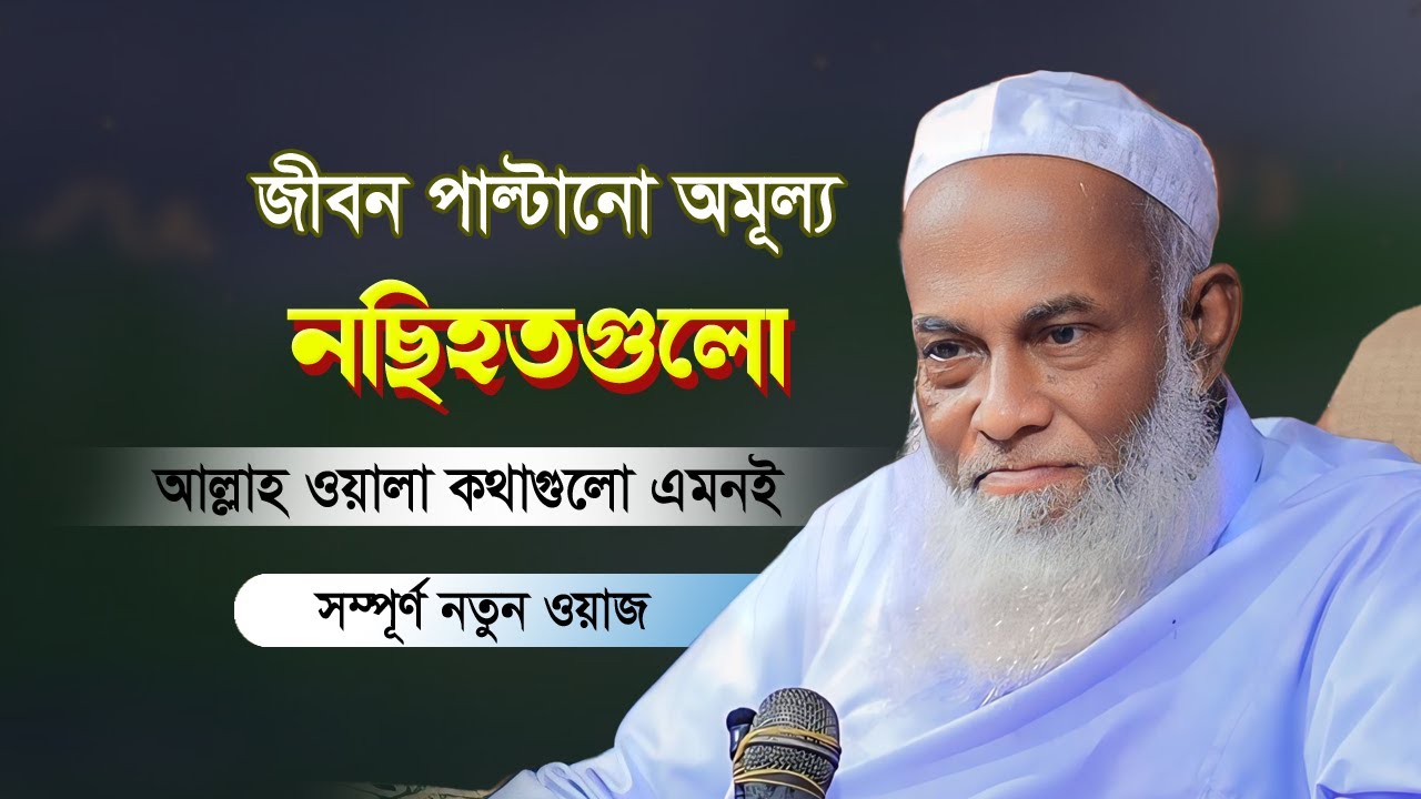 আহ! আল্লাহ্‌ কথাগুলো কত দামী | পীর সাহেব কুমিল্লা | Allama Nurul Haque Saheb | নুরুল হক সাহেব