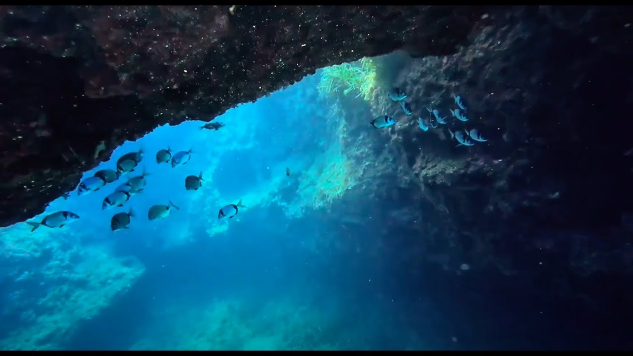 Cirkewwa Marine Park, Malta, 14.08.2025, Dive #48 and 49
