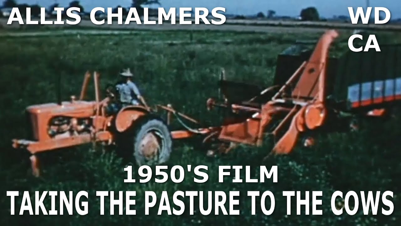 Фильм Эллиса Чалмерса 1950-х годов «Выпас коров» (WD CA Tractors)
