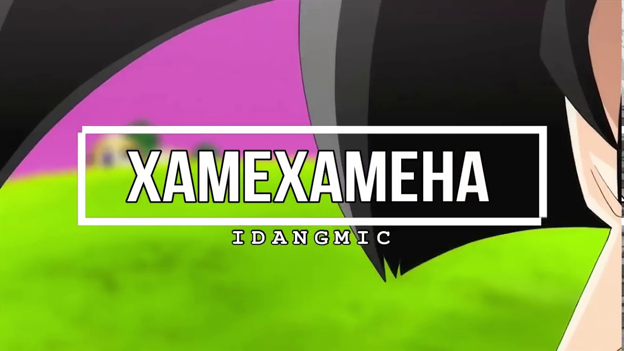 IDANGMIC - XAMEXAMEHA ( Official Videos Lirik )