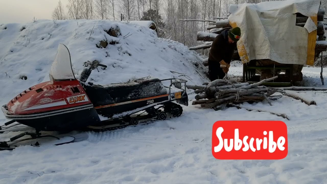 Рысь несёт груз дров в зимний мороз