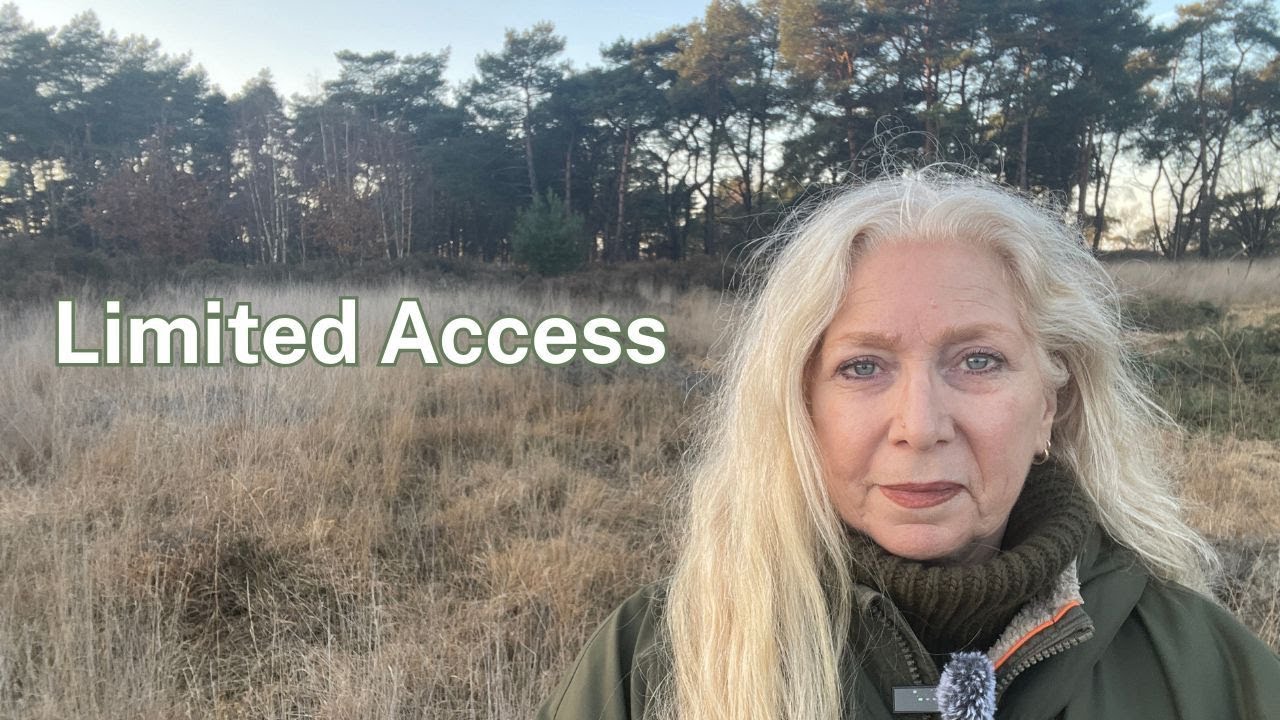 You Don't Owe Everyone Access to You