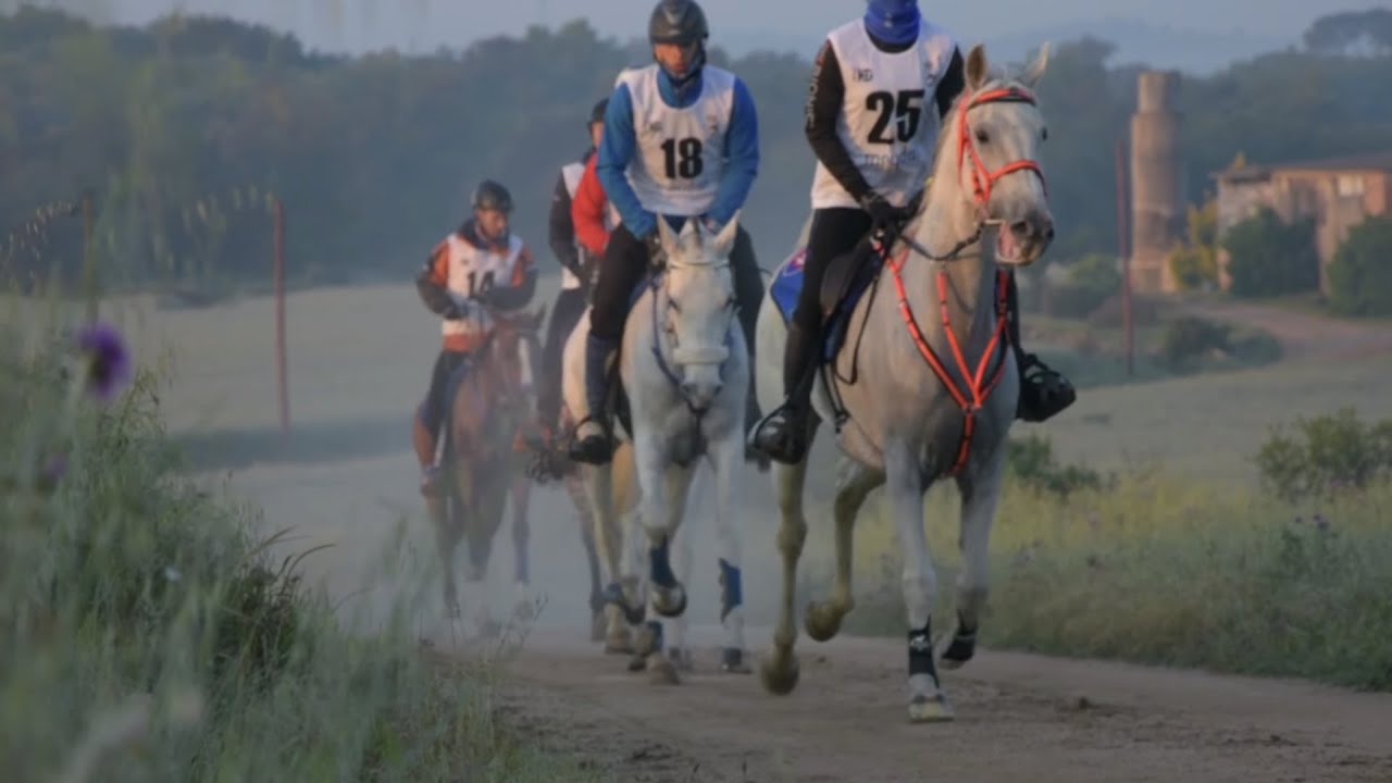 Raid de Tordera Meydan SportHG 2017