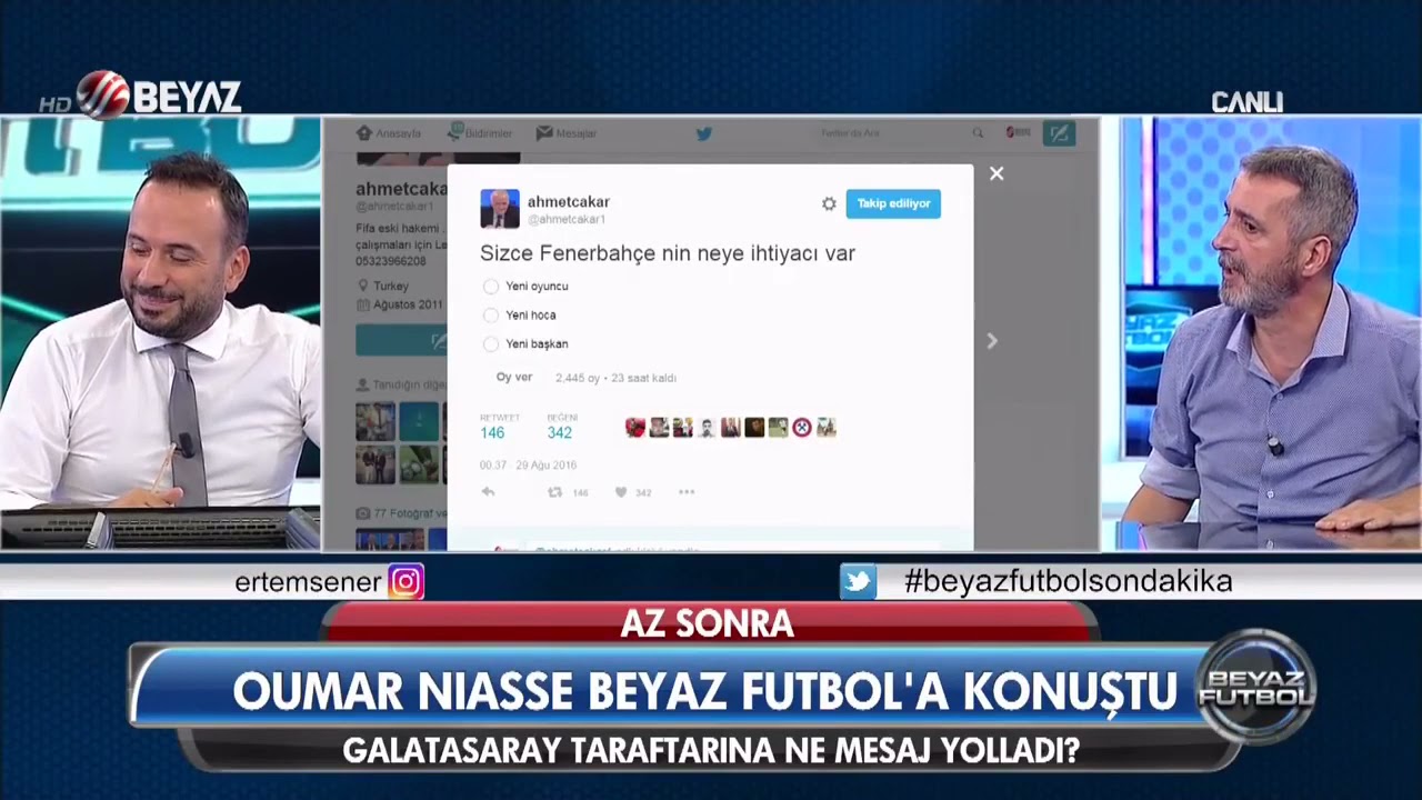 yavşak taylan