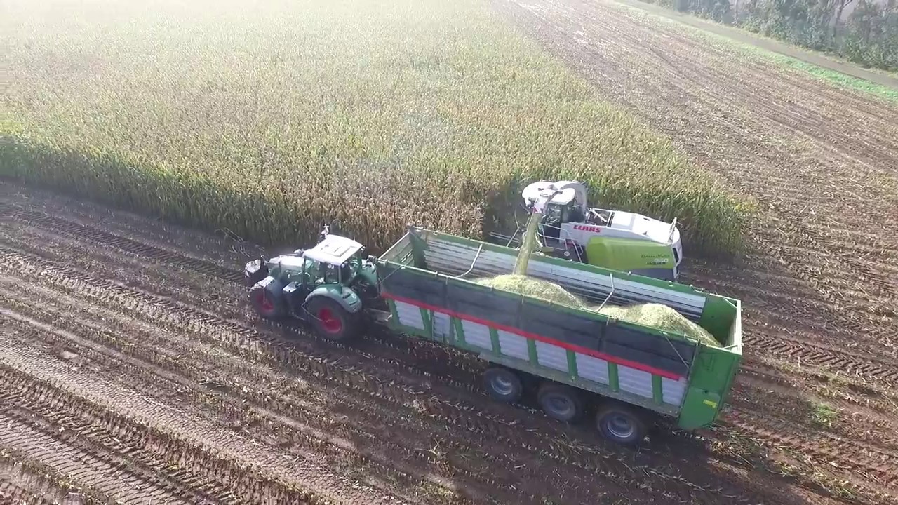 Maishäckseln 2017 geht los!