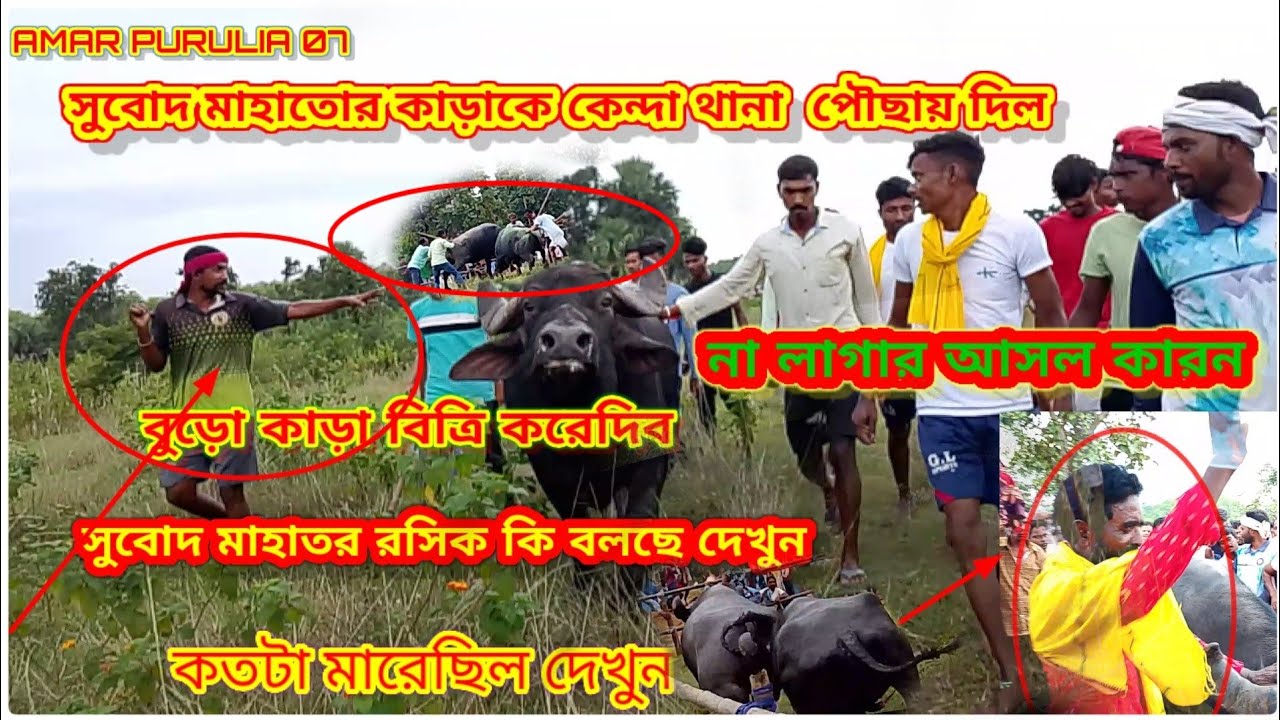 জনড়া আসরে সুবোদ মাহাতোর কাড়া কিভাবে পরাজয় হল দেখুন এবং সুবোদ বাবু কি বলছে দেখুন কাড়ার ব্যপারে😯😯