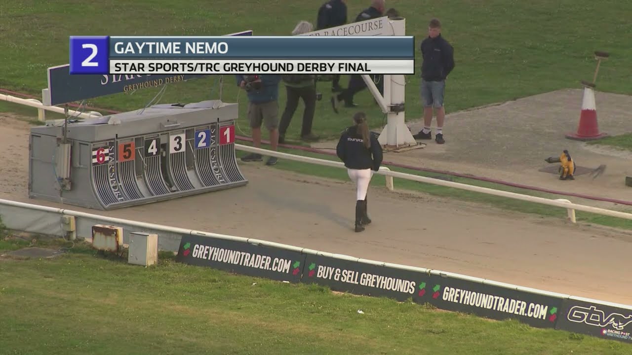 2023 GREYHOUND DERBY FINAL - GAYTIME NEMO