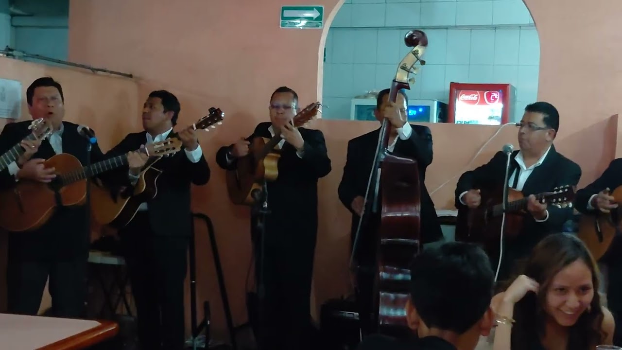 Rondalla Romántica de Cholula en Izucar de Matamoros Puebla. 13 de febrero 2026, parte 1.