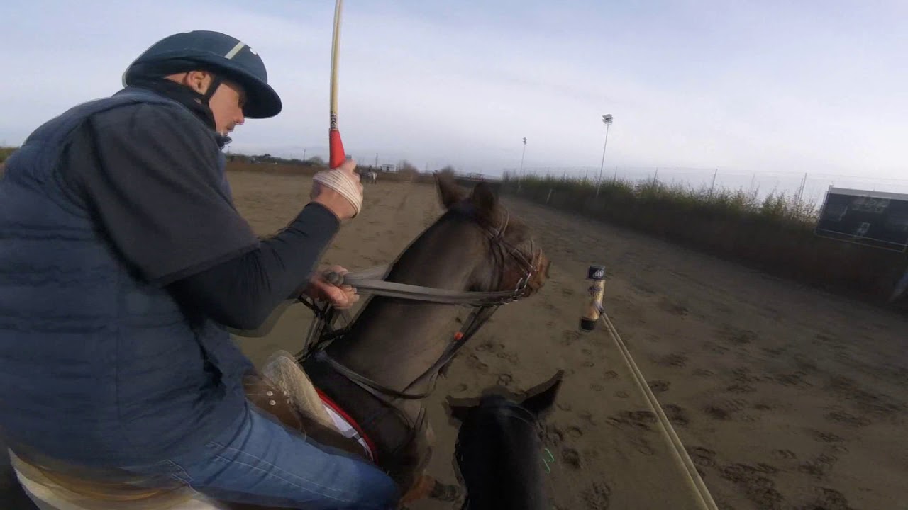 GoPro Chukkas @ Longdole #3 on Dulux
