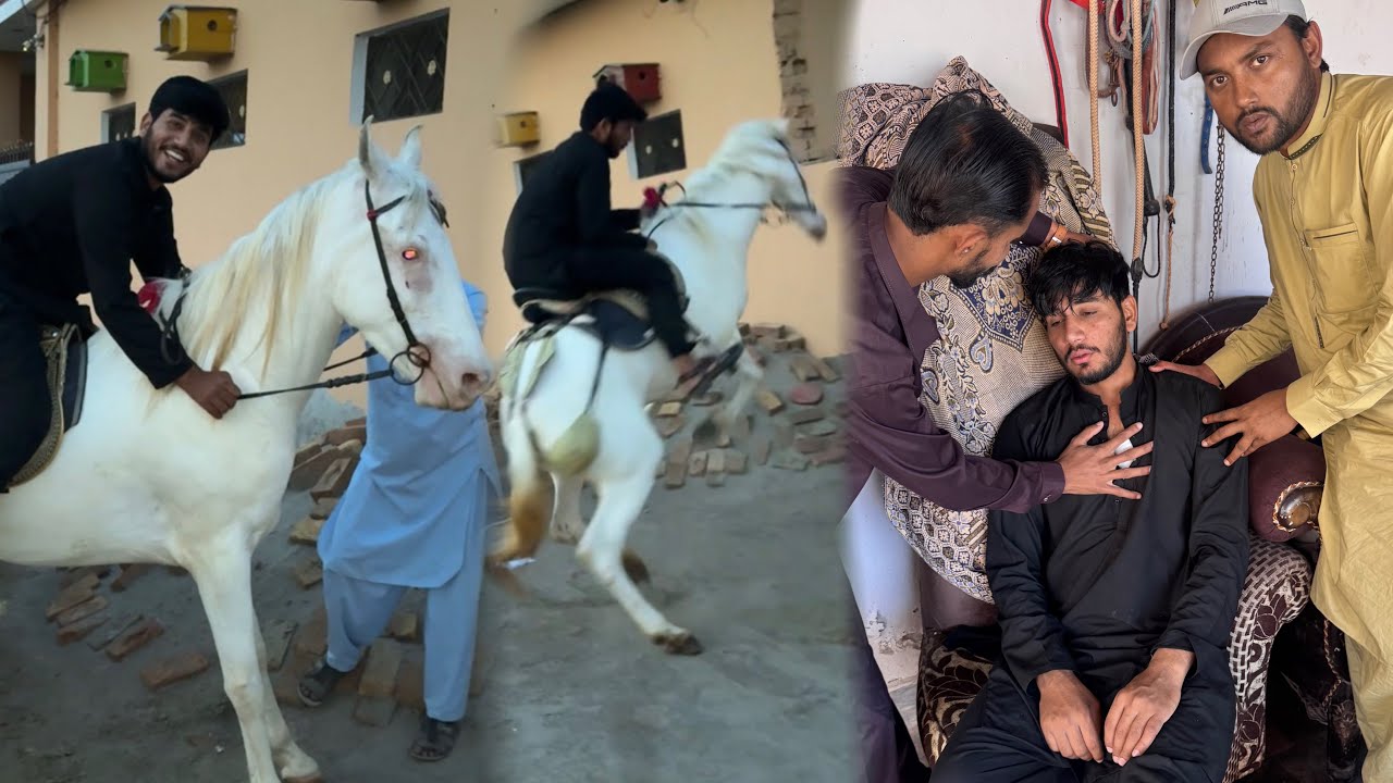 Pehli Sawari Hi Bhari Par Gayi! Hammad Pets House Ko Zakhmi Kr Dia 