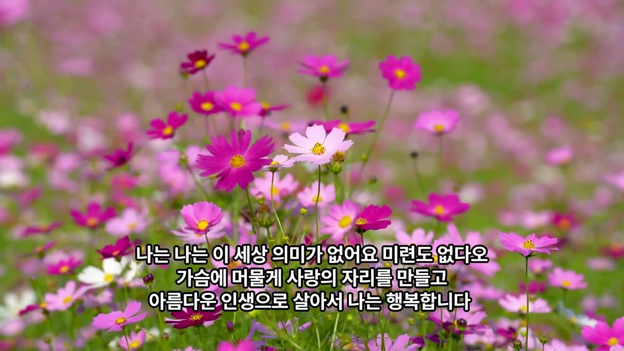 ★~ 보배珍e 2026 0115 ♥ 이제 내가 A 깊은 그리움