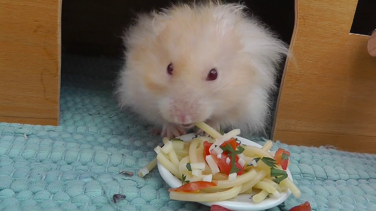 Sbohem Muffine