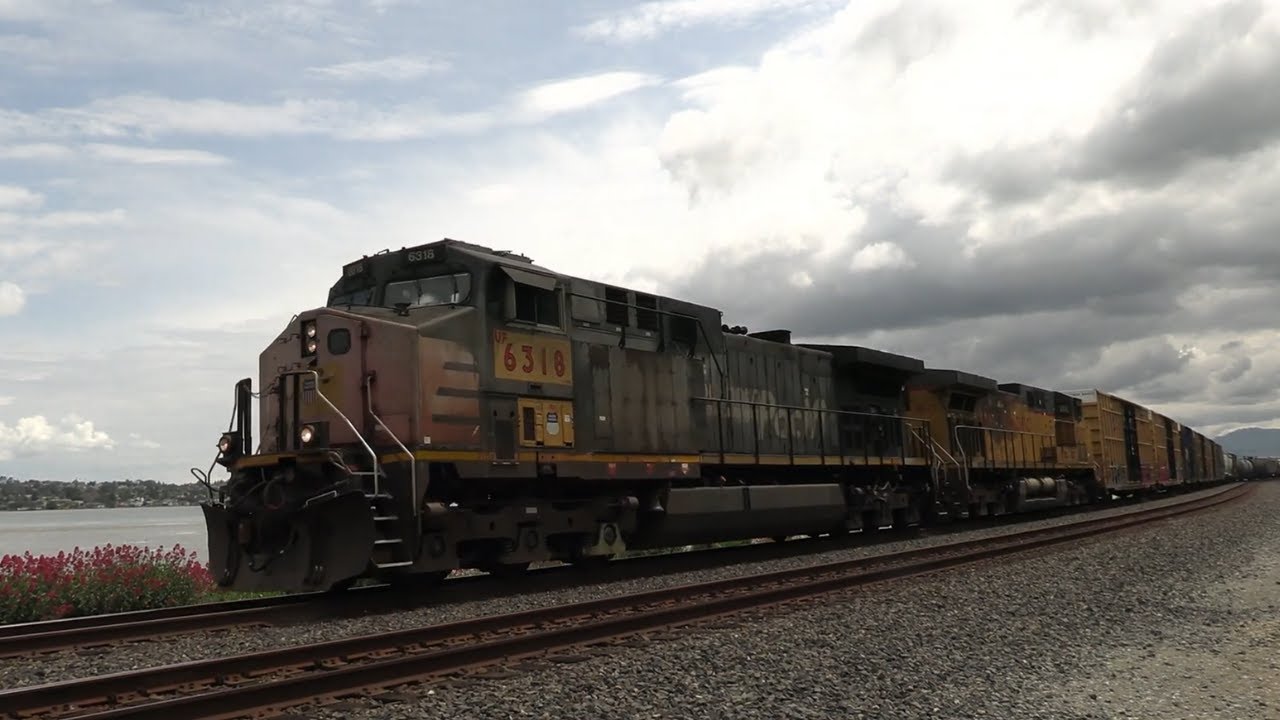 Southern Pacific Leading Along the Bay! ~ UP 6318