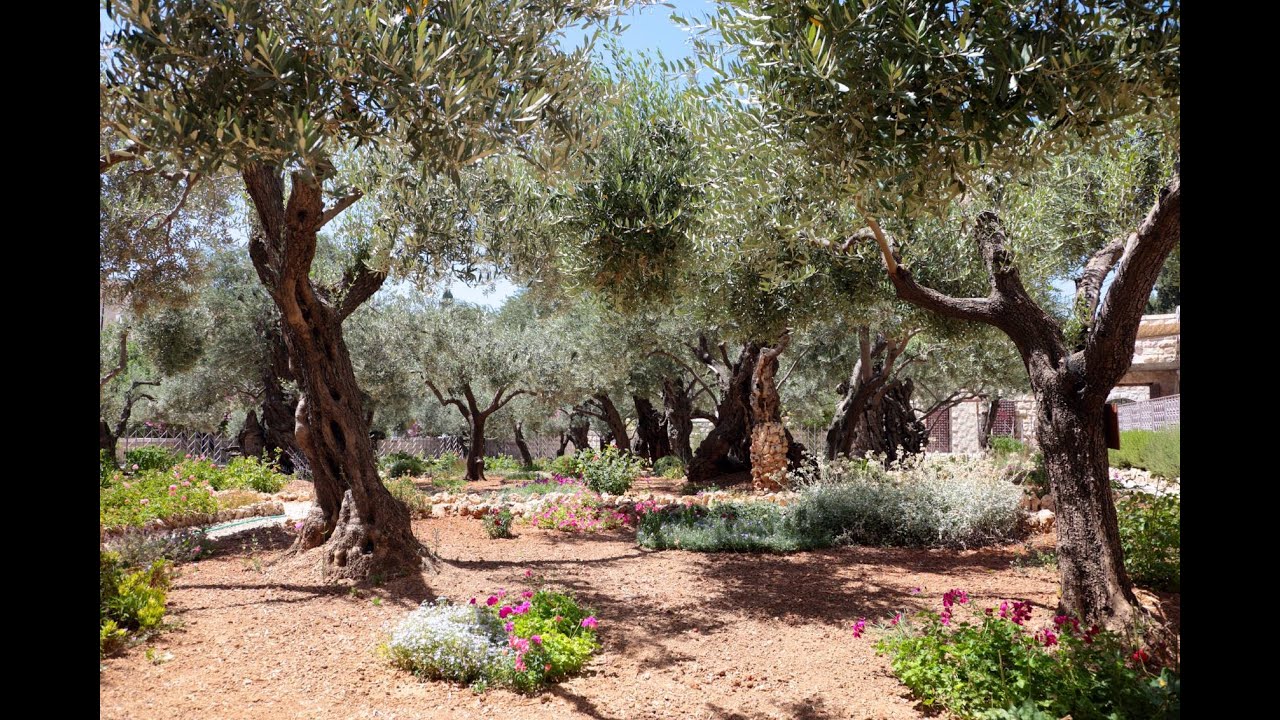 Jesus in the Garden