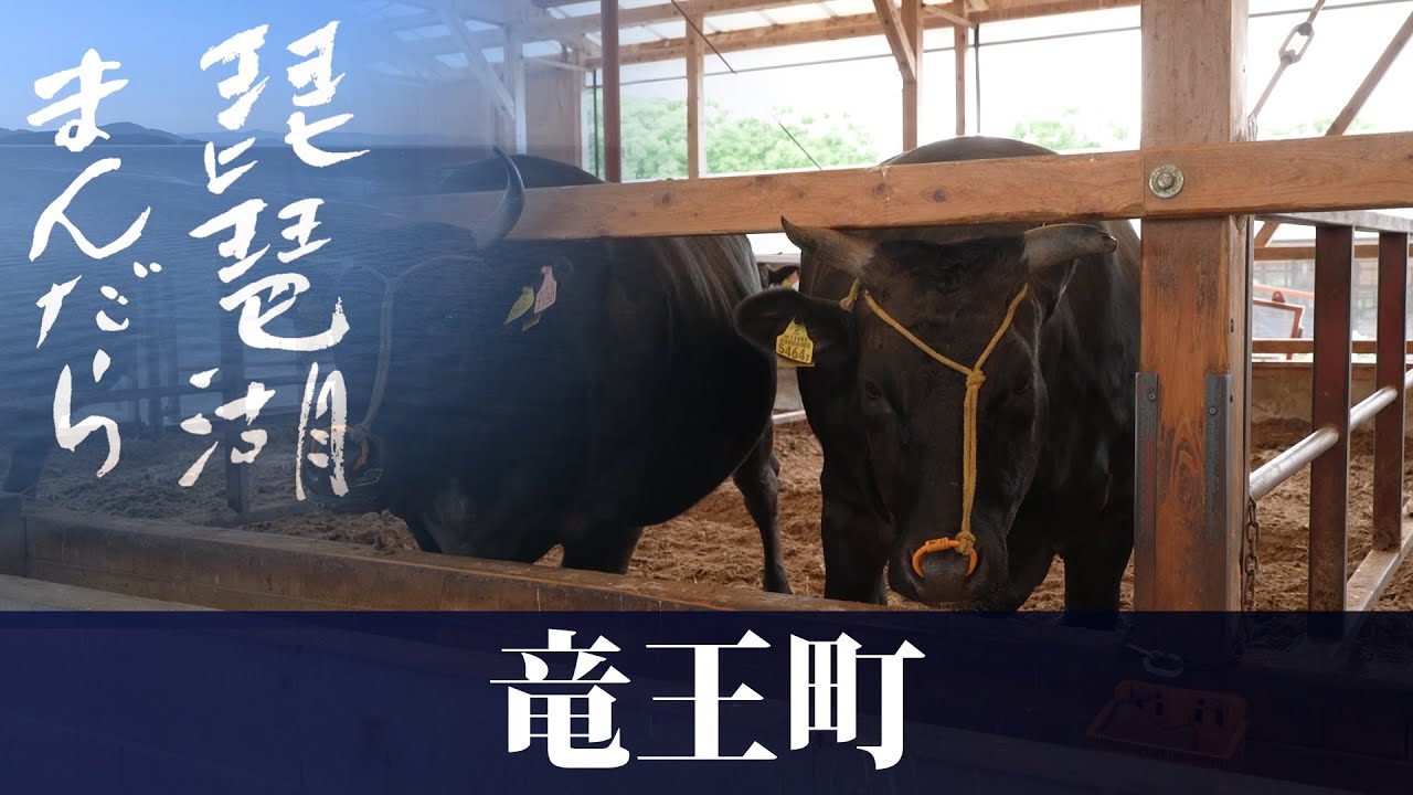 琵琶湖まんだら　第16回 竜王町【びわ湖放送】