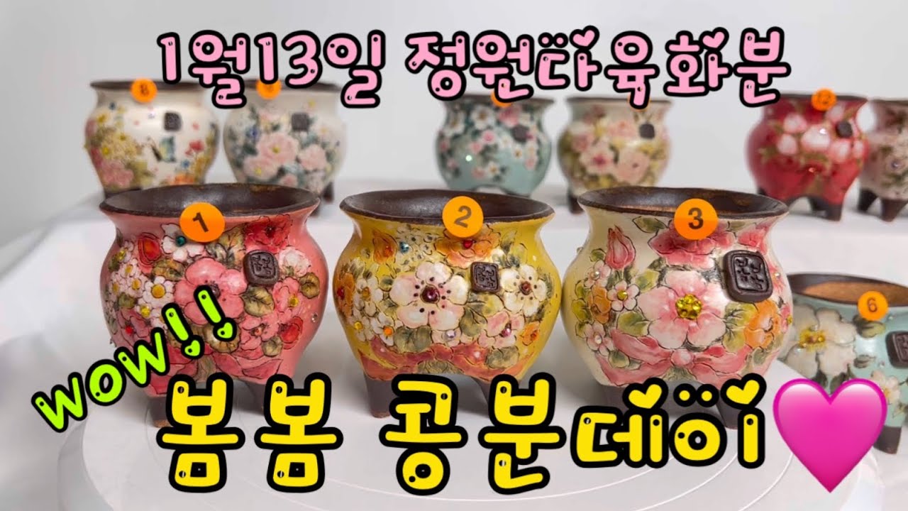 1월13일 드디어 기다리셨던 봄봄콩분데이 입니다🥰#정원다육화분 #봄봄화분#수제공방분 #콩분데이