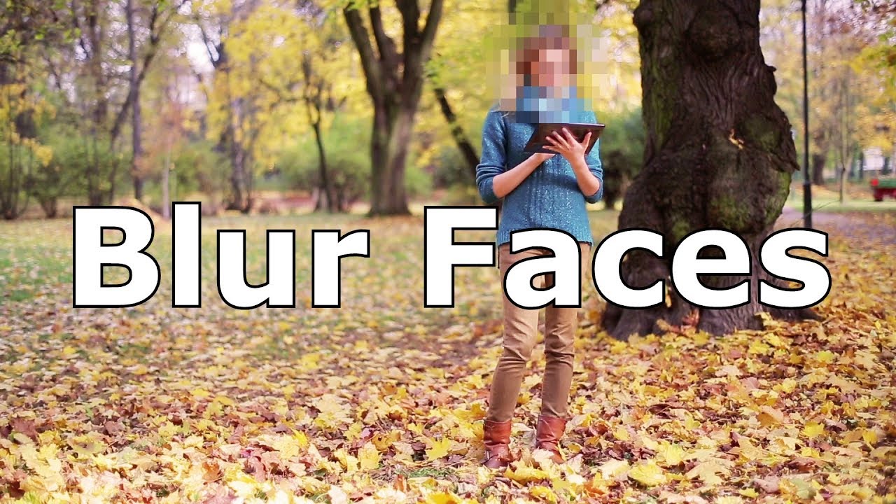 Blur Faces VEGAS Movie Studio 16 Platinum & Pro 16