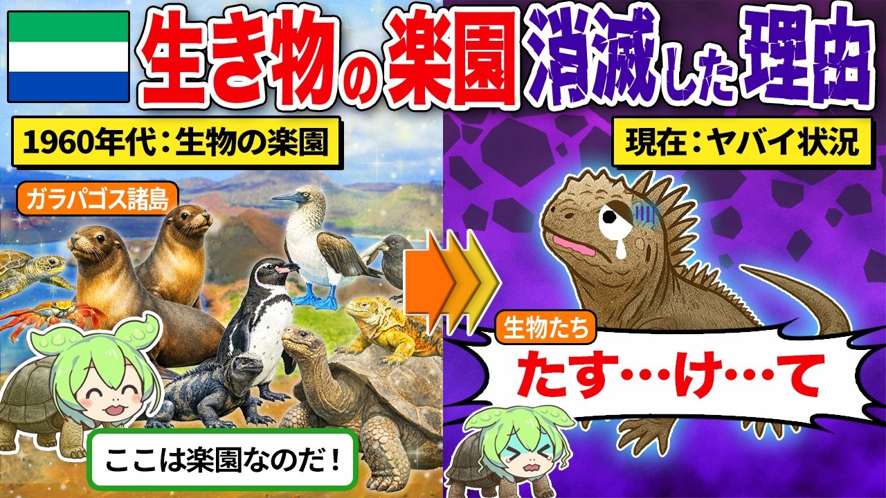生き物の楽園