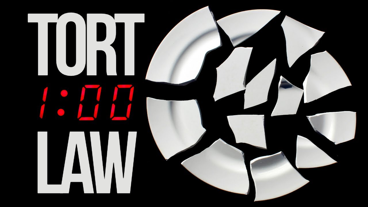 Tort Law in one hour