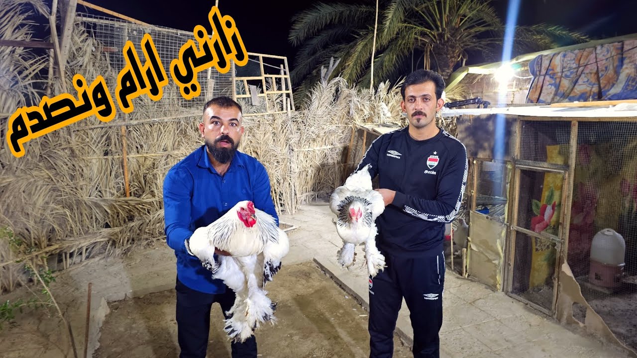 زارني ارام موسى ونصدم 😲🔥!