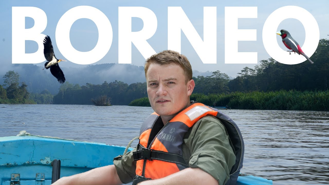 Kinabatangan River Cruise | Borneo 🇲🇾 | Adventure Travel Borneo - S5E4