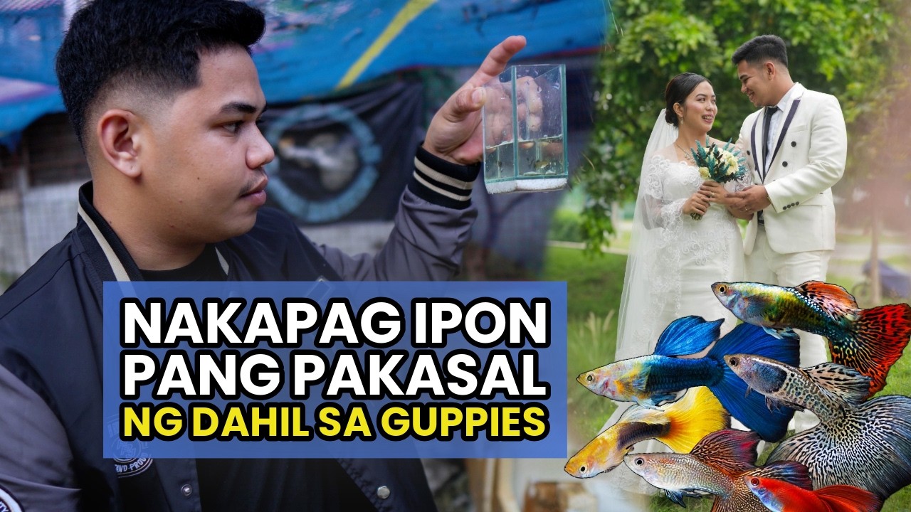 Nakapag Ipon Pang Pakasal ng Dahil sa Rare Guppies