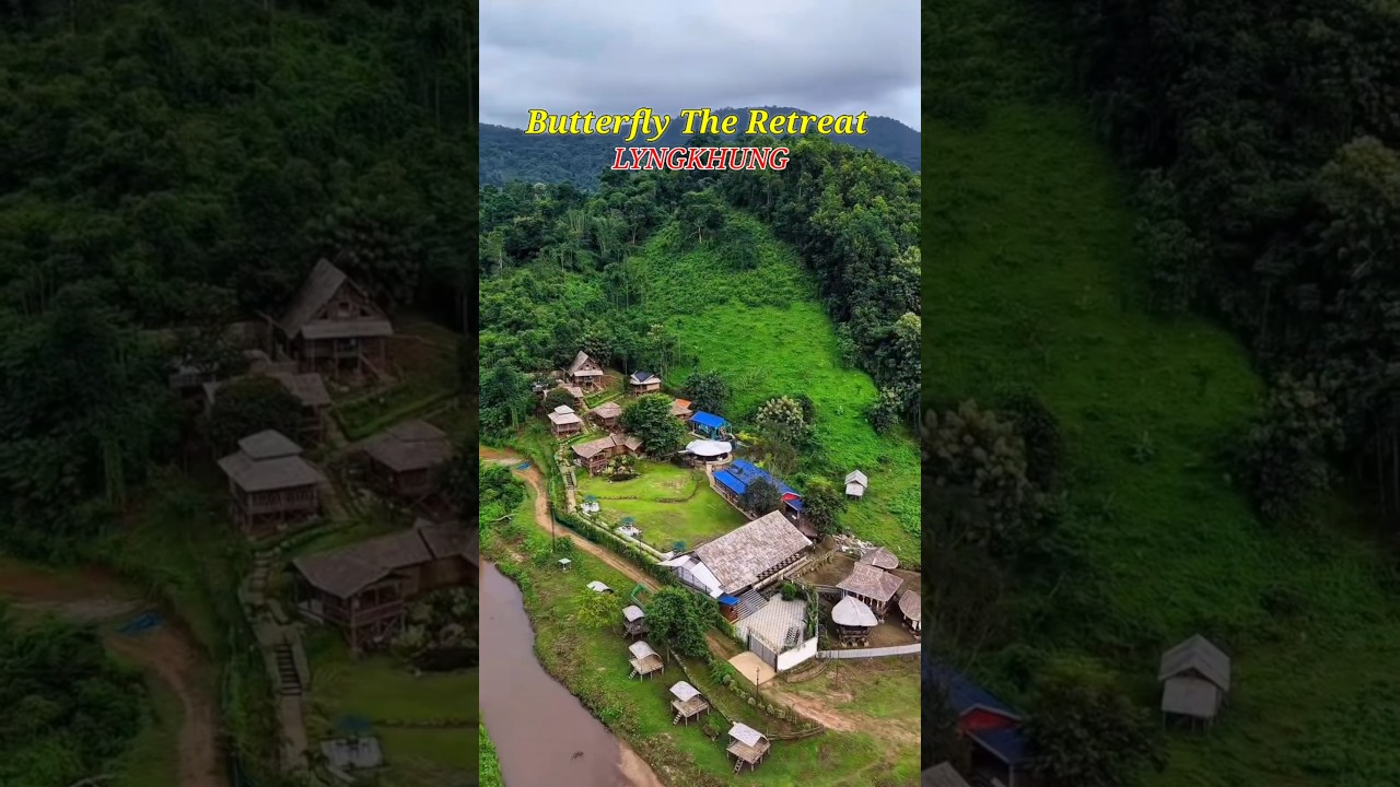 Butterfly The Retreat LYNGKHUNG  #Butterfly #newresort #resort #LYNGKHUNG #shortvideo