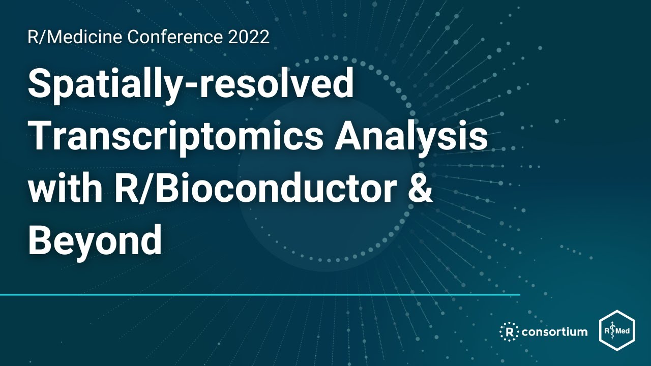 Транскриптомный анализ с пространственным разрешением с помощью R/Bioconductor и не только