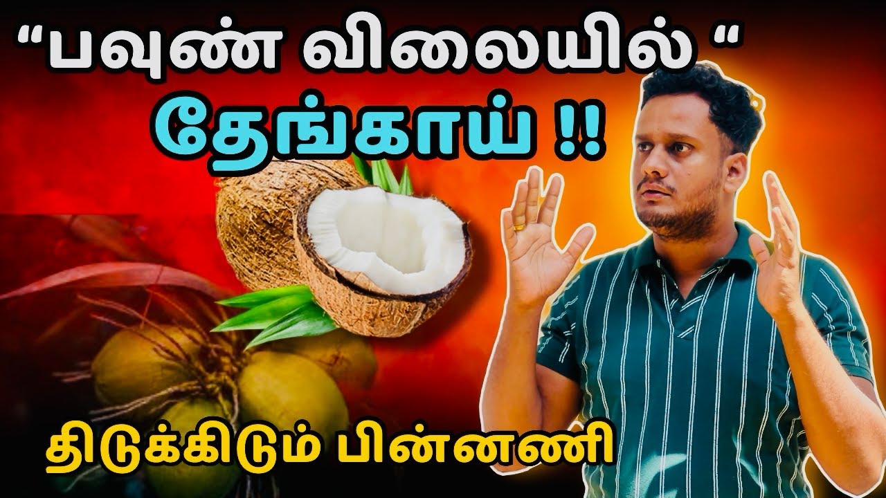 🔴பவுண் விலையில் தேங்காய் 😳 | coconut price risen in Srilanka 🇱🇰| Jaffna ​⁠@TheTamilAI