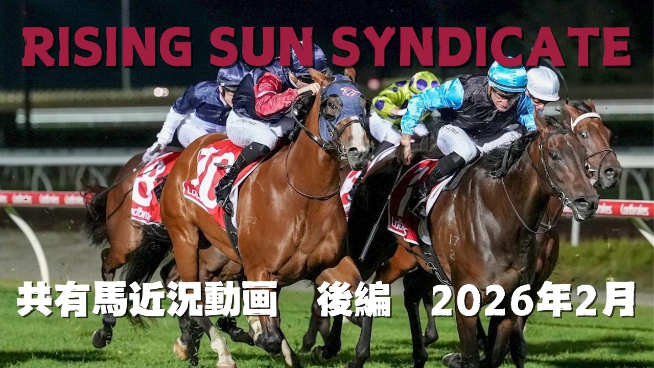 Rising Sun Syndicate  共有馬近況動画　後編　2026年2月