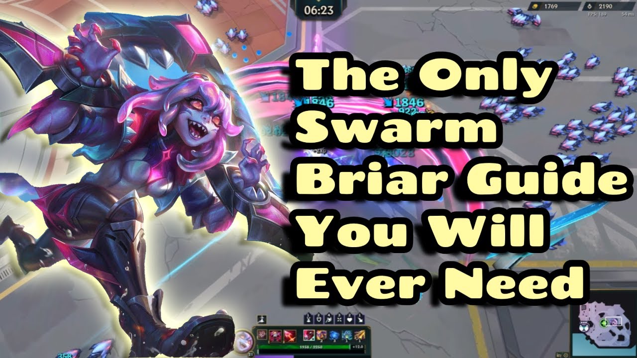 Swarm Briar Quickfire Guide: You're Playing Her Wrong