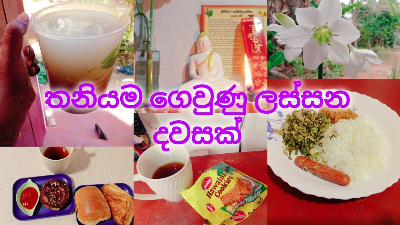 🍃බිරිඳක් විදියට මට ලැබුණු මේ ලස්සන ජීවිතය 🥰💐/ සතුටින් ගෙවුණු දවසක් 🌼#chathu#viral#food#garden#relax 