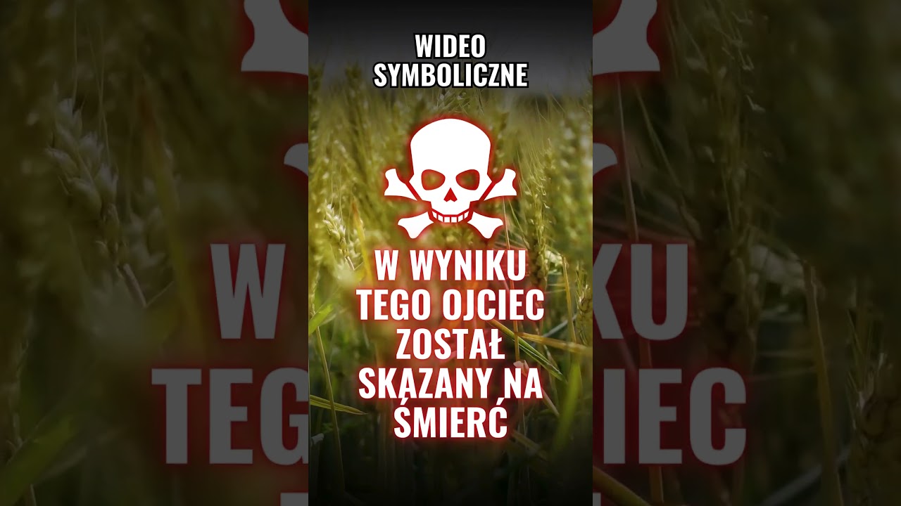 Pawlik Morozow - Syn Kt&oacute;ry Skazał Swojego Ojca Na Śmierć #shorts
