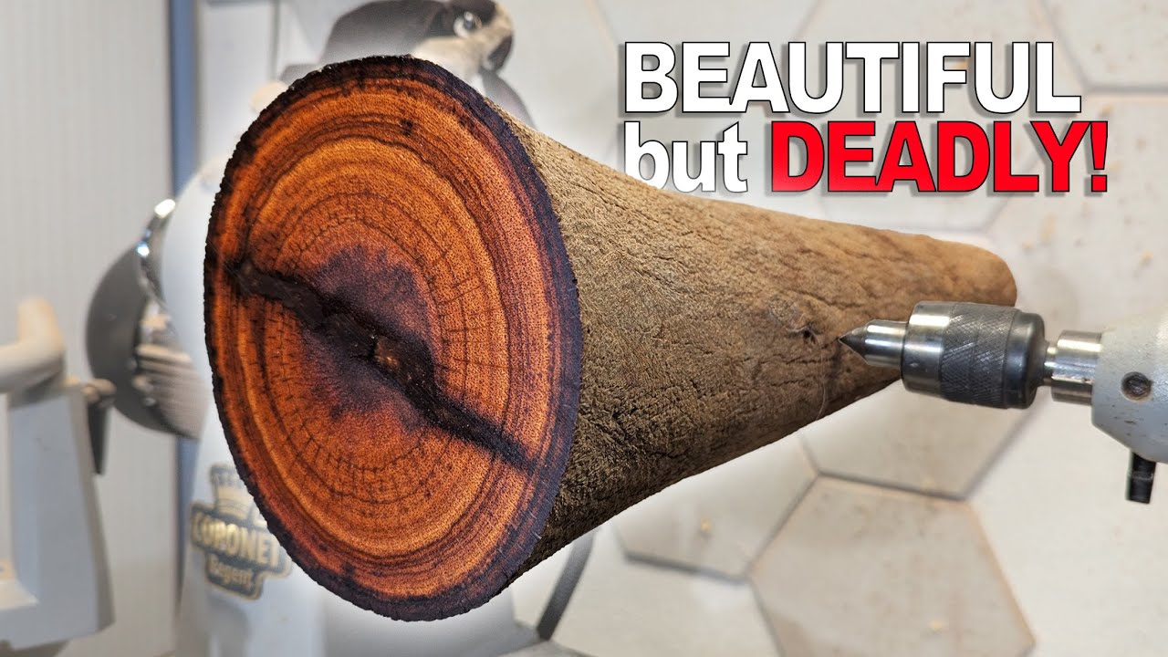 DEADLY to Turn, Stunning to See –Woodturning the Grass Tree Box Project