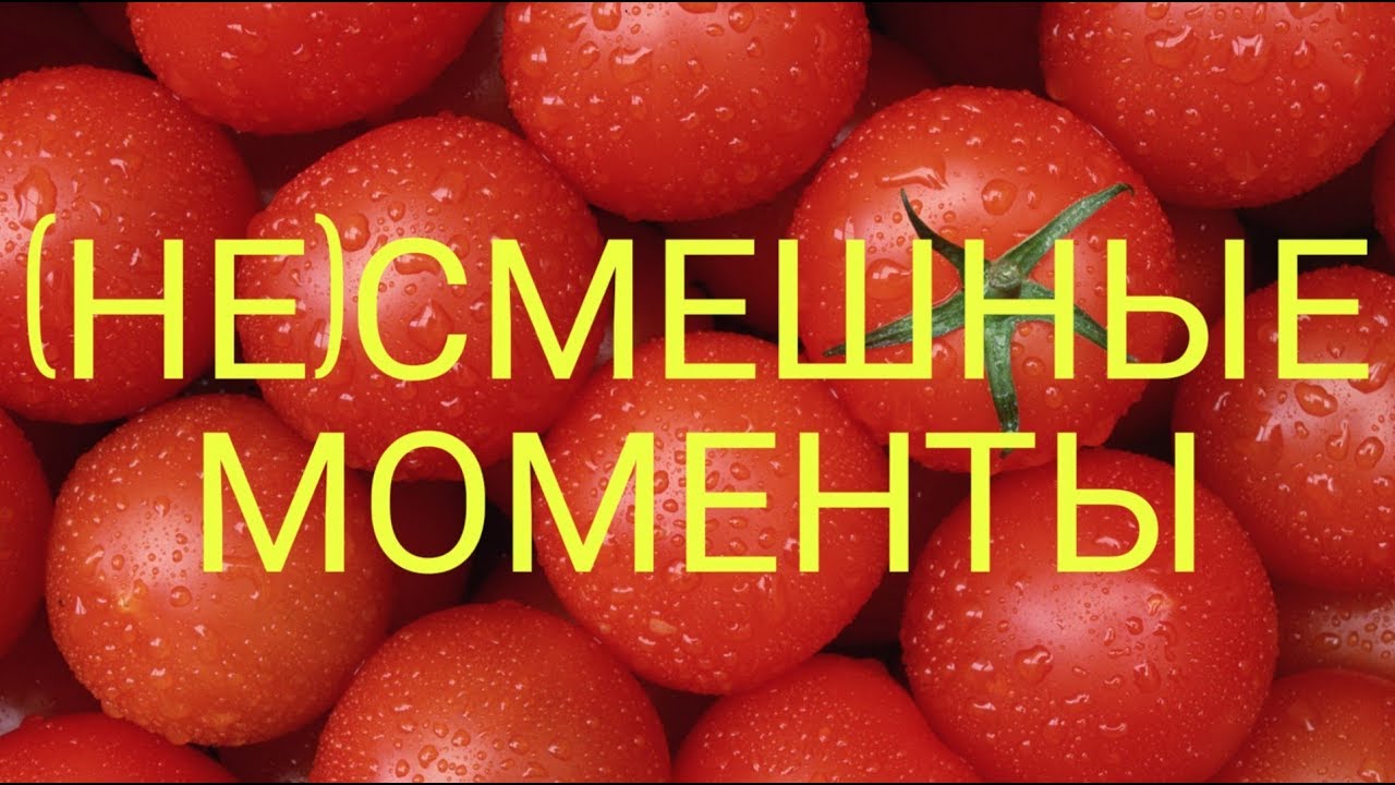(НЕ)Смешные моменты «Читаем фанфики про Шаров»