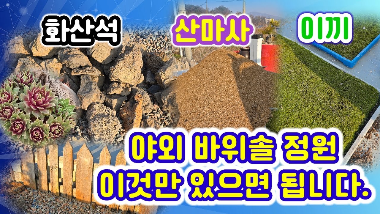 야외 바위솔 정원 만들기 실시간 이것만 있으면 이쁜정원 을 만들수있다.2025년3월23일 오전10시